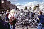 Trafalgar Square with pegeons